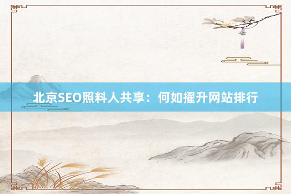 北京SEO照料人共享:何如擢升网站排行