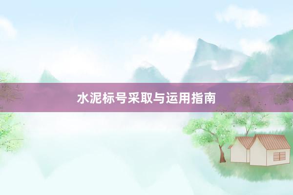 水泥标号采取与运用指南